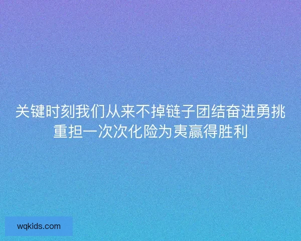 关键时刻我们从来不掉链子团结奋进勇挑重担一次次化险为夷赢得胜利
